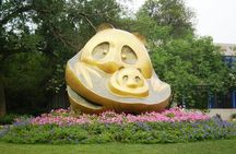 Giant Panda and Leshan Buddha Day Trip from Chengdu