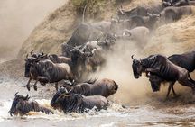 4 Days Experience big five in Tarangire, Serengeti & Ngorongoro Safari