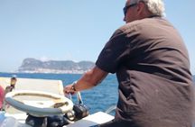 Dolphin Watching in Gibraltar with Dolphin Safari