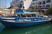 Dolphin Watching in Gibraltar with Dolphin Safari