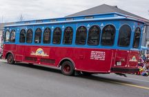 90-Min Narrated Trolley Tour of Lexington and Concord