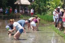 Private Balinese Village and Tanah Lot Temple Cultural Tour