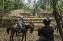 Adventure Sun Set Horse Ride
