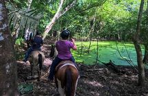 Adventure Sun Set Horse Ride