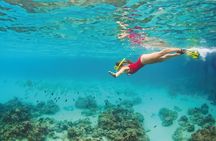 Snorkel Tour in Cozumel