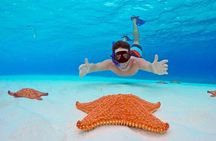 Snorkel Tour in Cozumel
