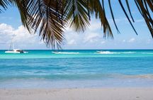 Private Full-Day Tour to Saona Island from Bayahibe with Lunch