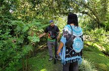 Peak Pursuit: Embark on the Arenal Volcano Hike Expedition