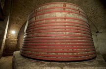 Private Food and Wine Tour in the Cellar with Tastings