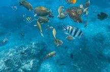 Blue Lagoon & Tanjung Jepun snorkeling with Kanto Lampo WaterFall and Monkey bar