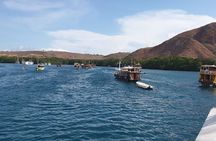 3-Day Komodo island Tour with or without Roundtrip Flight From Bali