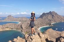1- day Komodo island Tour hopping around by Speed Boat