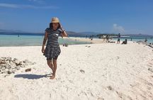 1- day Komodo island Tour hopping around by Speed Boat