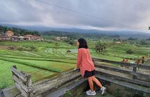 Bedugul Tour, Tanah Lot Temple with Kecak Show & Sea Food Dinner by Ocean View
