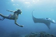 From Lembongan: Snorkeling Day Trip to Nusa Lembongan & nusa Penida island