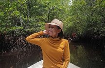 From Bali: Snorkeling Trip to Nusa Lembongan & nusa Penida island