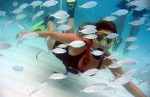 SNUBA Saint Lucia