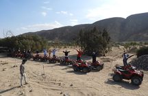 Adventure Morning Trip Quad Safari