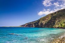 Kona Coast Cruise: Snorkel Kealakekua Bay & Dolphin Encounter
