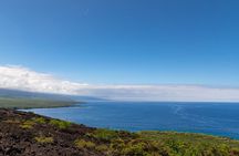Kona Coast Cruise: Snorkel Kealakekua Bay & Dolphin Encounter