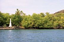 Kona Coast Cruise: Snorkel Kealakekua Bay & Dolphin Encounter