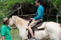 Jungle farm ride 