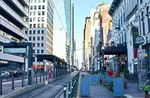 Houston Sightseeing Tour Small-Group 