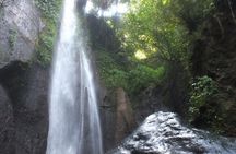 Bogor City Full-Day Private Tour from Jakarta with Pick Up