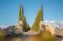 Classic Wine Tasting in Montalcino