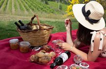Winery Tour & picnic in the vineyard with a bottle of wine