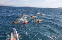 3-Days Sailing Komodo Island,Padar & Manta Point departure every Friday