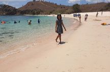 1- day Komodo Island Hopping Tour by Speed Boat departure From Labuan bajo