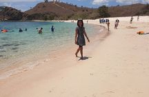3-Days Sailing Komodo Island,Padar & Manta Point departure every Friday