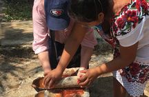 Private Tour Mayan Community Yaxunah