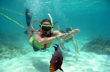Snuba Snorkelking Parasailing and Catamaran Pack