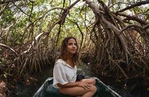 Private Tour Sisal Magic Town and Kayak