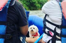 Wildlife Safari Experience by Raft