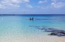 Folkestone Coral Reef Clear Kayak Tour