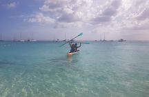 Folkestone Coral Reef Clear Kayak Tour