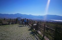 Vesuvius Shore Tour and Pompeii Site