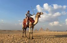 Half Day Tour Around Giza Pyramids By Camel