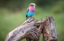 Nairobi national park ,Giraffe center and Beads factory