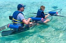 Clear Bottom Kayaks Mangrove Tour