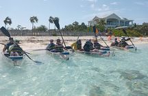 Clear Bottom Kayaks Mangrove Tour
