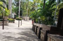 Dunn's River Falls & Blue Hole Tour from Montego Bay