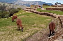 Private Tour from Cuenca to Ingapirca Ruins with Lunch