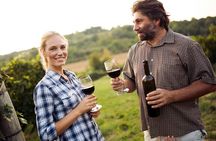 Full-Day Group Wine Tour (with cheese and charcuterie) in Niagara-on-the-Lake