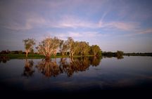Yellow Water Cruise - Kakadu