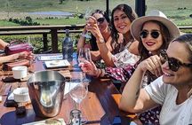 Private Wine Tasting Tour in Mornington Peninsula with Lunch
