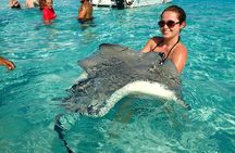 Stingray City Experience Plus Two Snorkeling Stops on Grand Cayman